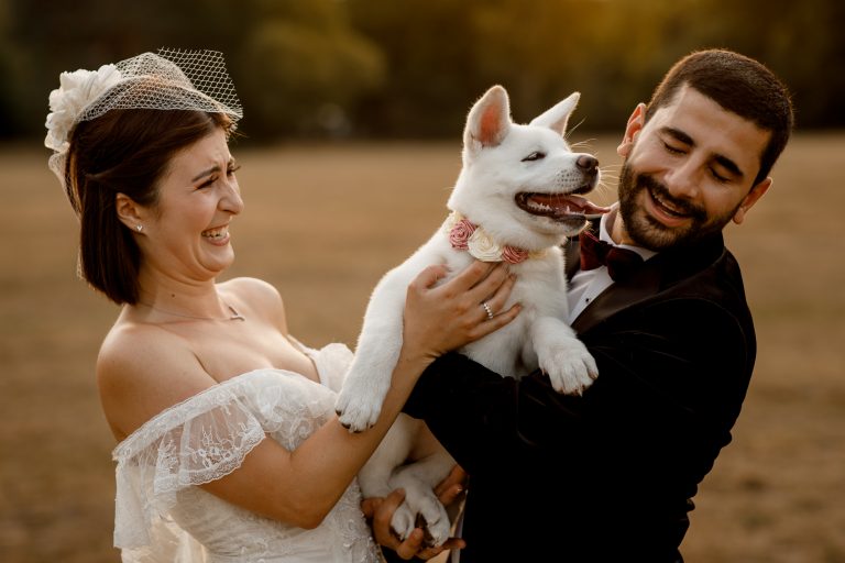 wedding photo with dog