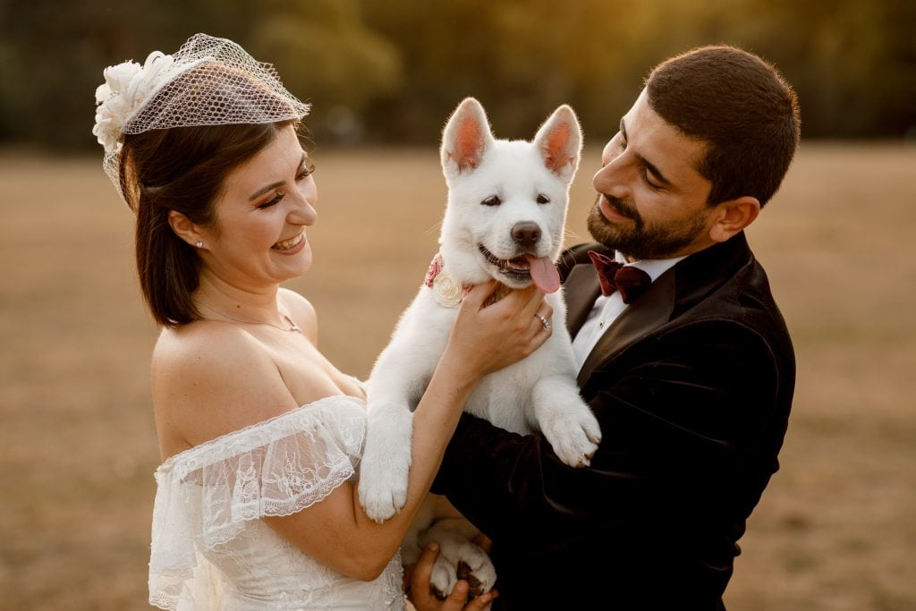 couple with puppy in wedding photo