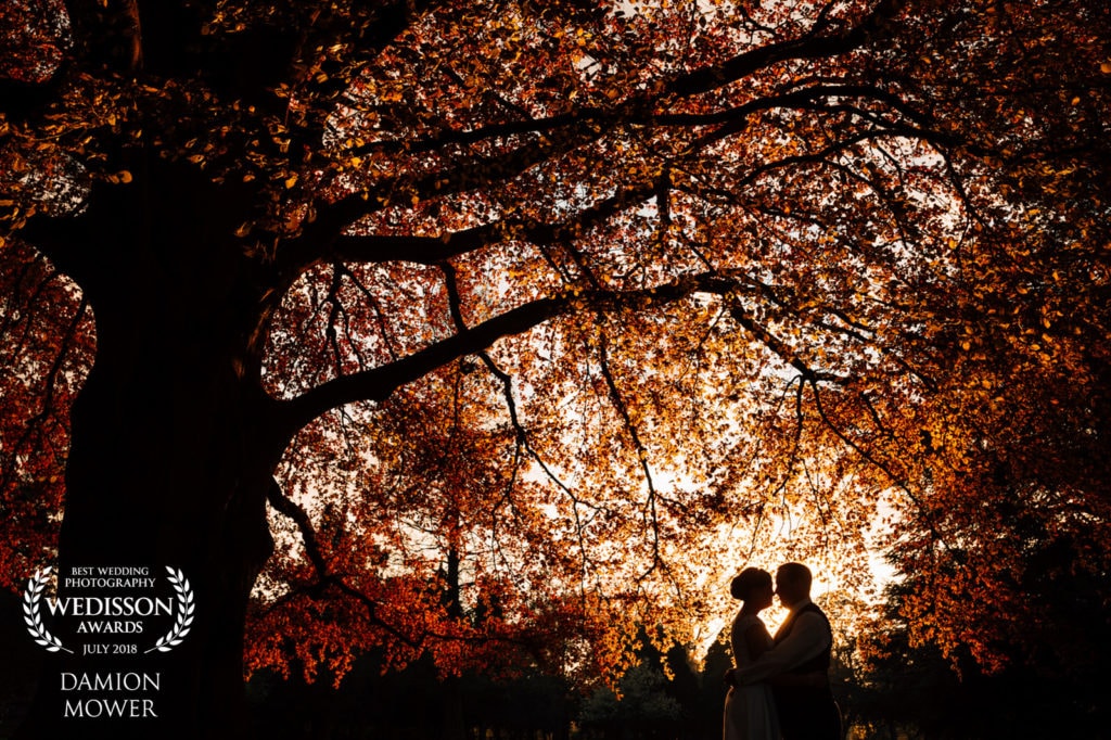 wedding photographer of the year 2019